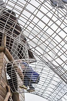 Boy walking in metal wired tunnels above ground