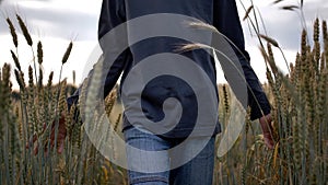 Boy walking in the wheat field in the evening, close up of hands