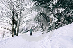 Boy walks in snow forest photo