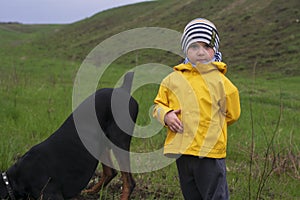 A boy watches as a Doberman dog digs its paws and tears pieces of earth with its teeth in search of a rodent or gopher