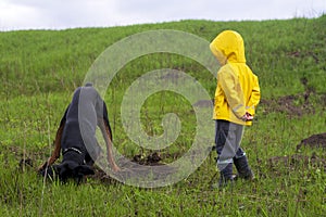 A boy watches as a Doberman dog digs its paws and tears pieces of earth with its teeth in search of a rodent or gopher