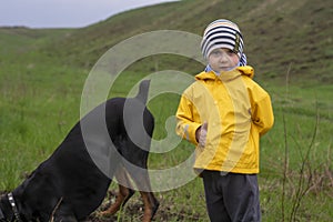 A boy watches as a Doberman dog digs its paws and tears pieces of earth with its teeth in search of a rodent or gopher