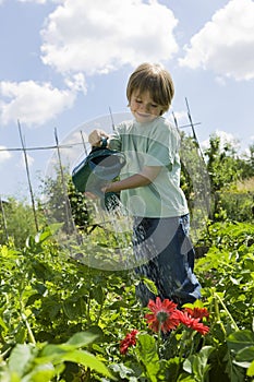 Boy Watering Flowers In Community Garden