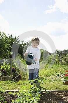 Boy Watering Plants In Garden