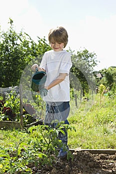 Boy Watering Plants In Garden
