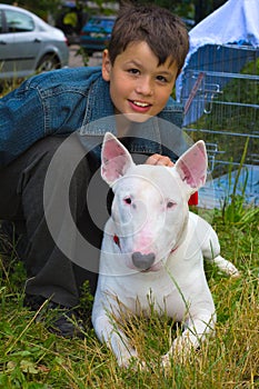 Boy and white Bull Terrier Dog breed