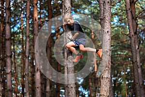 Boy who climbed the pine trees in the pine forest and now wants to get down from the trees