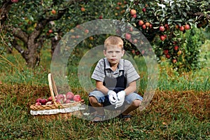 Boy wicker blond red green grass trees apple little help garden pick basket