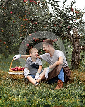 Boy wicker son red green grass trees apple little help garden two basket two work glove apron father together family smile