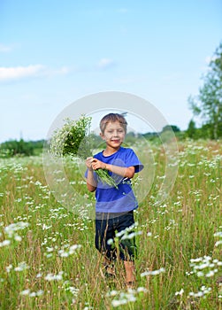 Boy with wild spring flowers