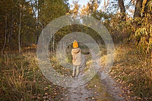 Boy with wooden stick walks through the path and explores forest during autumn walk, from behind