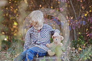 A boy in the woods with a favorite teddy bear