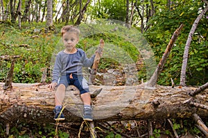 The boy in the woods sitting on a tree