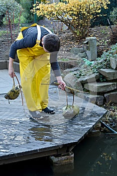 Boy working in the garden, cleaning the pond