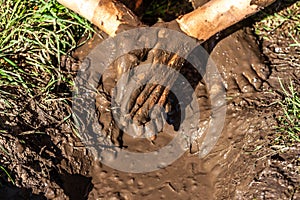 Boy working and playing in the mud