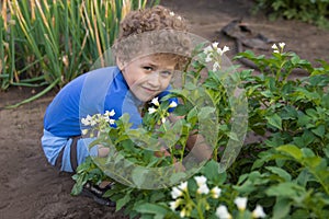 The boy works in the garden, tidies up the potato garden. Teaching children to work. The photo