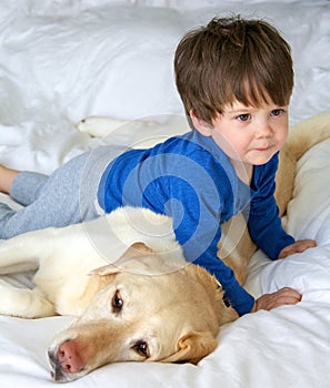 Ragazzo incontro il suo il cane 