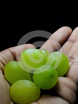 Boy& x27;s hand holding grapes, fruits, closeup