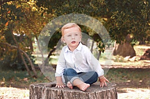 Chlapec 1 roky starý na strom peň na slnečný leto. 