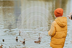 A boy in a yellow jacket feeds ducks on the lake, copy space. Feeding the ducks with bread. Walking in the autumn park