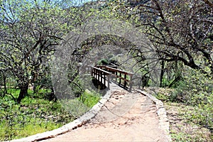 Boyce Thompson Arboretum State Park, Superior, Arizona United States
