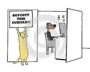 Boycott Cubicle photo