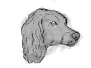 Boykin Spaniel Dog Breed Cartoon Retro Drawing photo