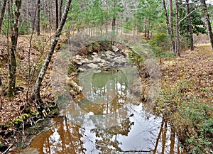 Boykin Springs Recreation Area in Texas