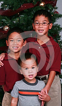 Boys with Christmas tree