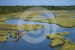 Boys on dock in marsh.