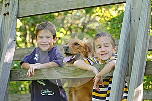 I ragazzi un il cane 