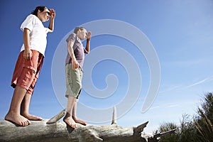 Boys On Fallen Tree Shielding Eyes photo