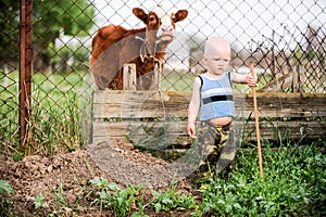 Boys feed chickens and farm animals on their father`s farm in the countryside