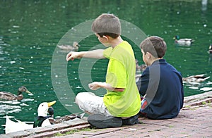 Boys Feeding the Ducks