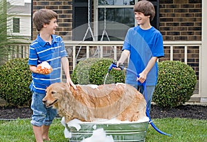 Boys Giving Dog a Bath