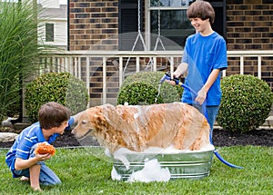 Boys Giving Dog a Bath