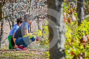 Boys Observing Nature in Woods photo