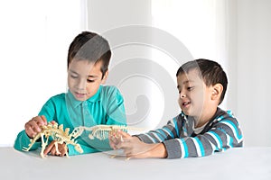 Boys play with toys skeletons of dinosaurs