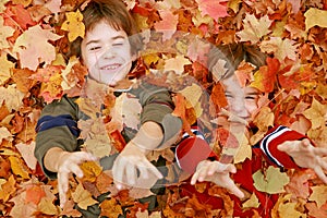 Boys Playing in the Leaves