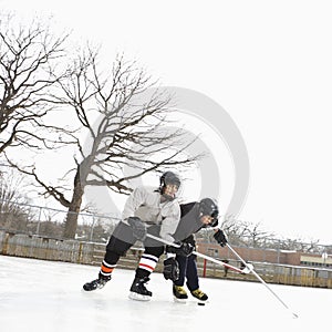 Boys playing winter sport.