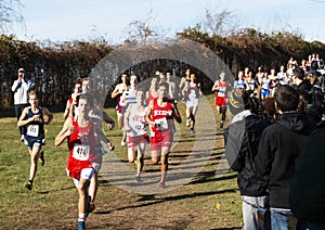 Boys running downhill during a cross country race