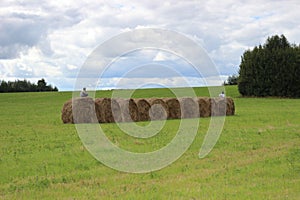 Boys sit on haystacks, against a background of green grass, autumn haymaking