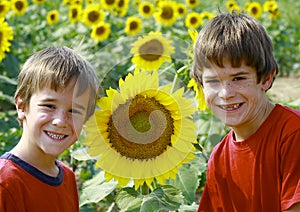 I ragazzi girasole 