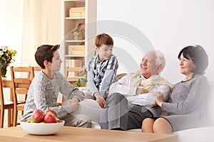 Boys talking with grandparents