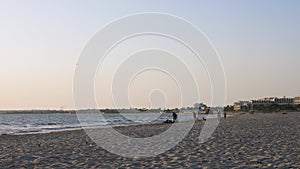 Boys teenagers playing with dog at horizon while walking on sea beach. Summer activity