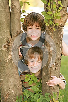 Boys in a Tree