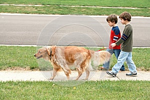 Boys Walking the dog