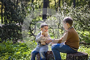 Boys in the woods. The sun`s rays envelop the space of the clearing with a stump. A magical story of interactions for the book.