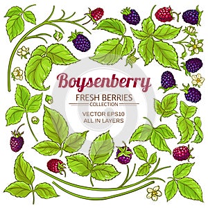 Boysenberry elements set
