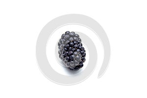 Boysenberry  isolated on a white background.